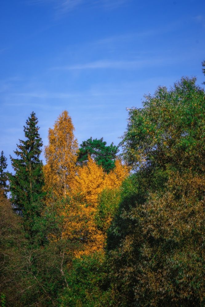 Photograph by Света Богоявленская