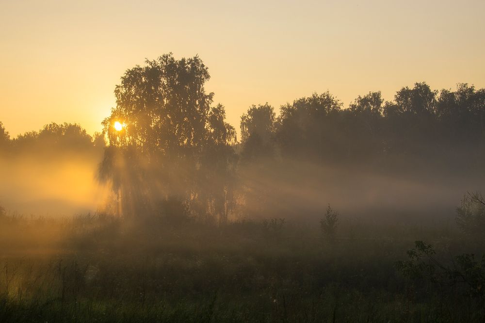 Photograph by Инаида