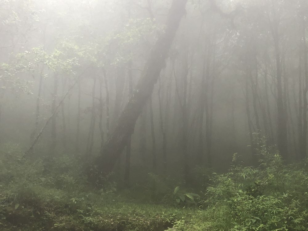 Photograph by Rajesh Abdulsalim