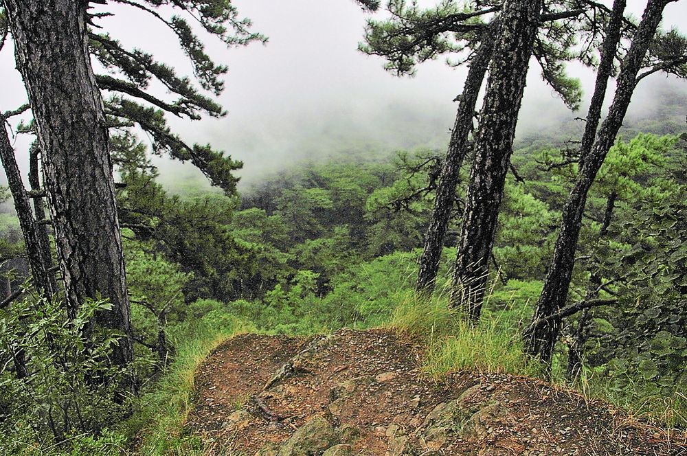 Photograph by Александр Кудрявцев