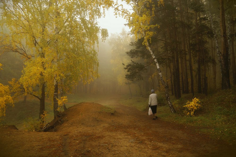 Photograph by Инаида