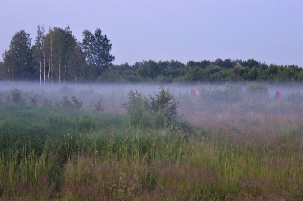 Photograph by Екатерина Апрелева