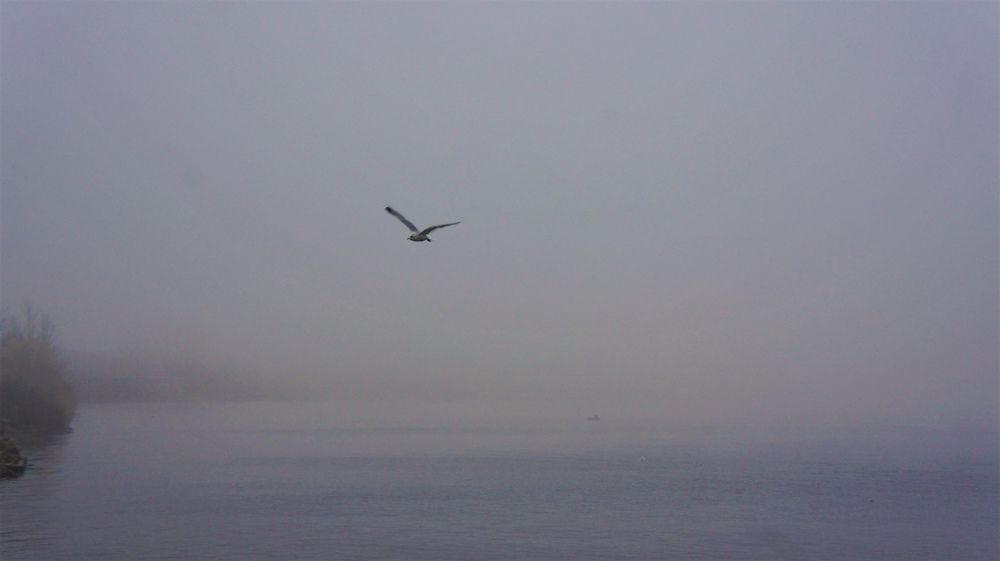 Photograph by Екатерина Апрелева