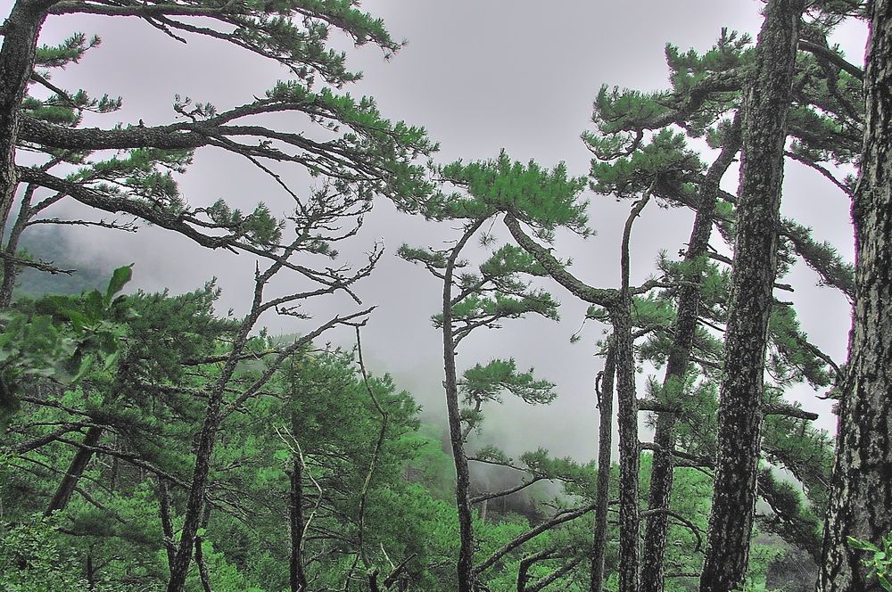 Photograph by Александр Кудрявцев