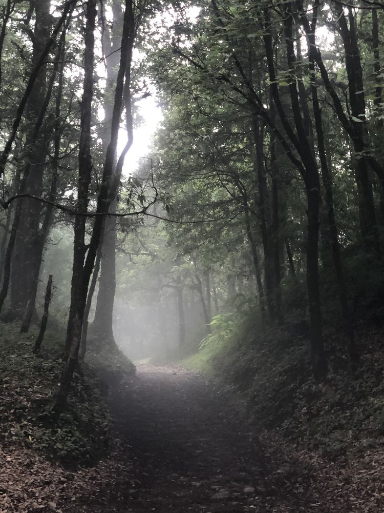 Photograph by Rajesh Abdulsalim