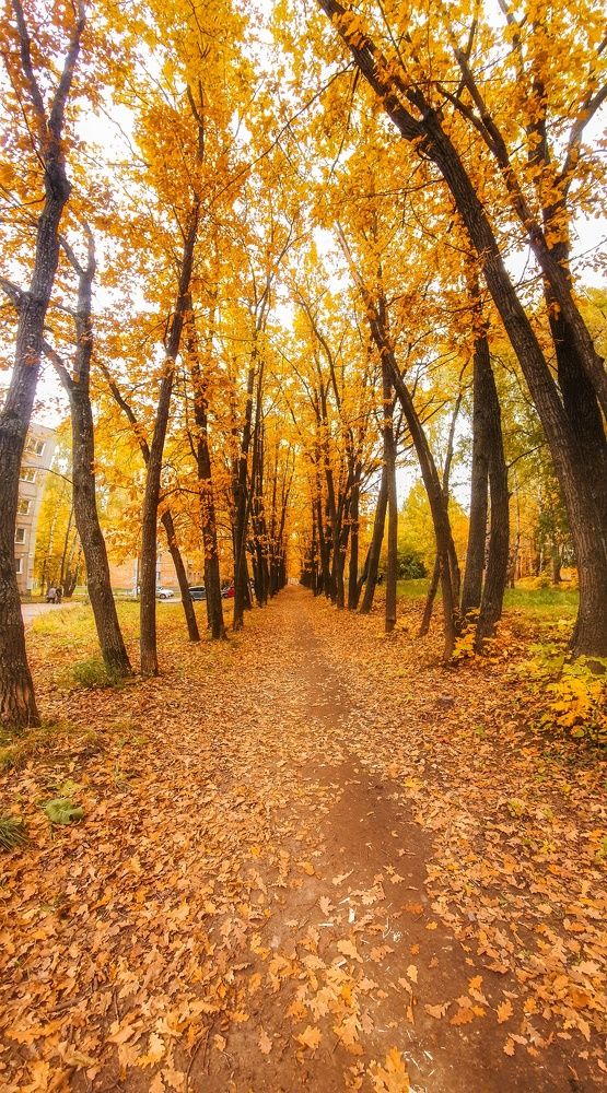 Photograph by Паша Савельев