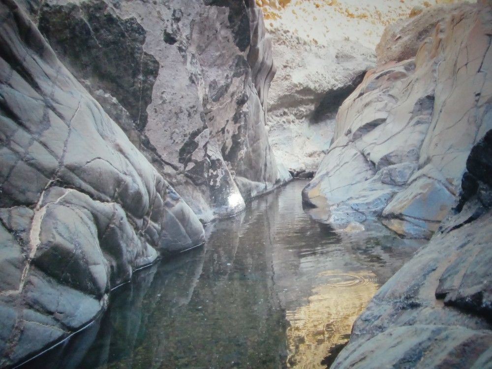 Photo #6679643