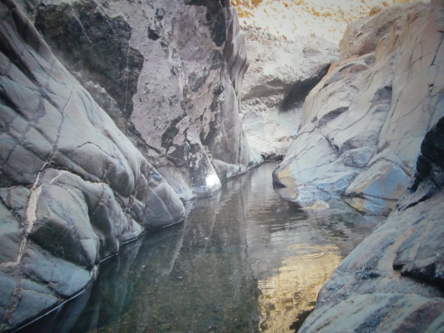 Photo #6679643