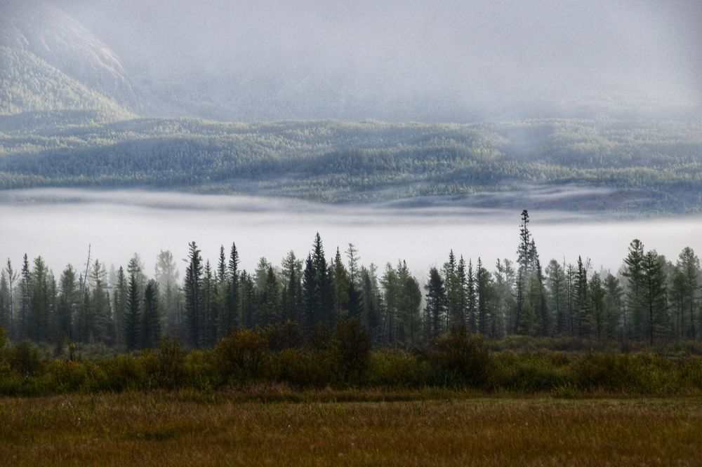 Photograph by Марина Корреа Ластра