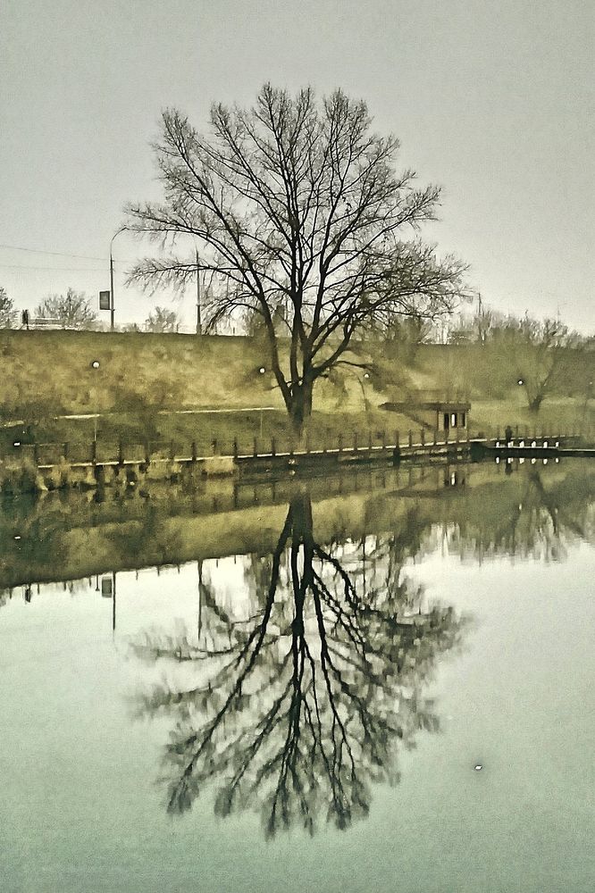 Фотография автора Ratsam