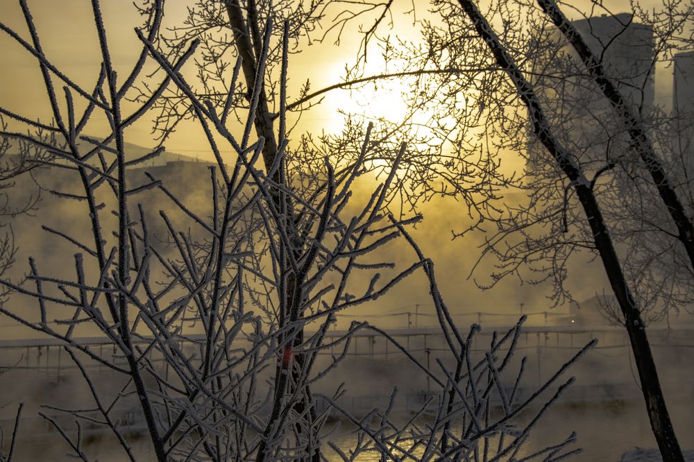 Photograph by Максим Маруда