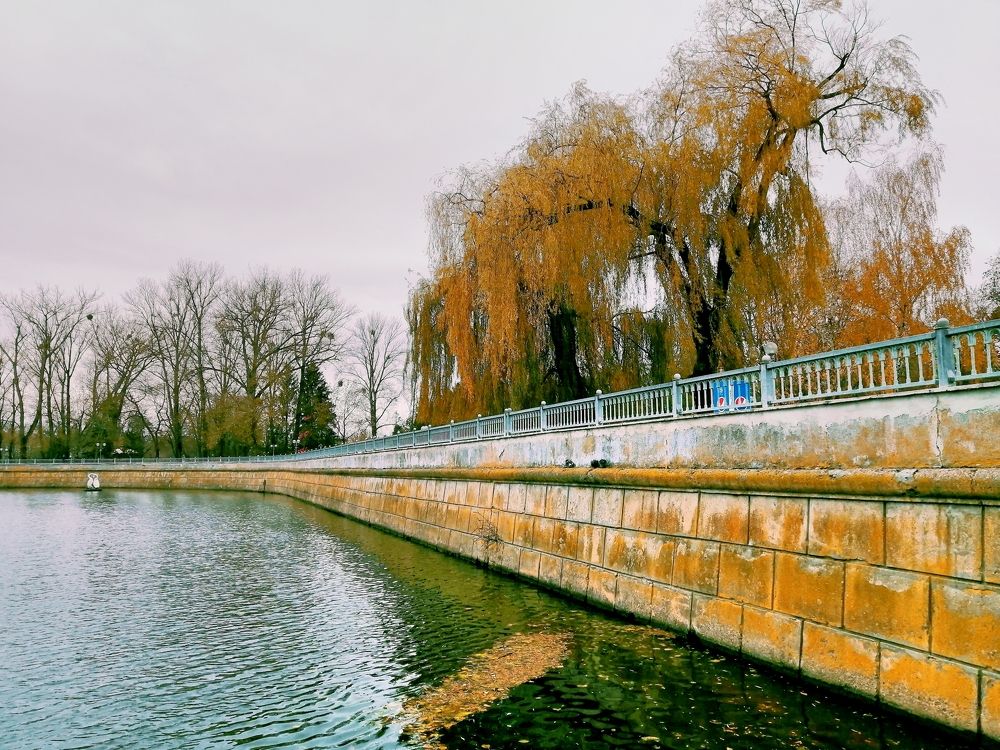 Фотография автора Ratsam