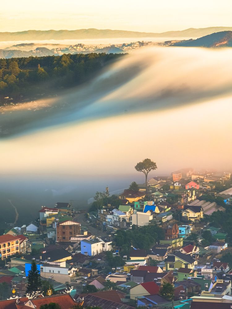 Photograph by Tran Phuong