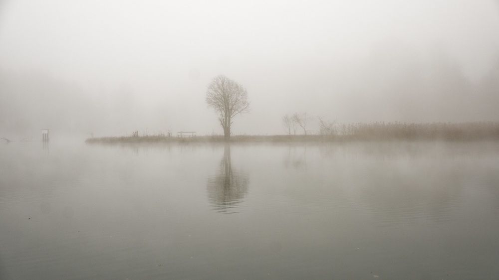 Photograph by zause01