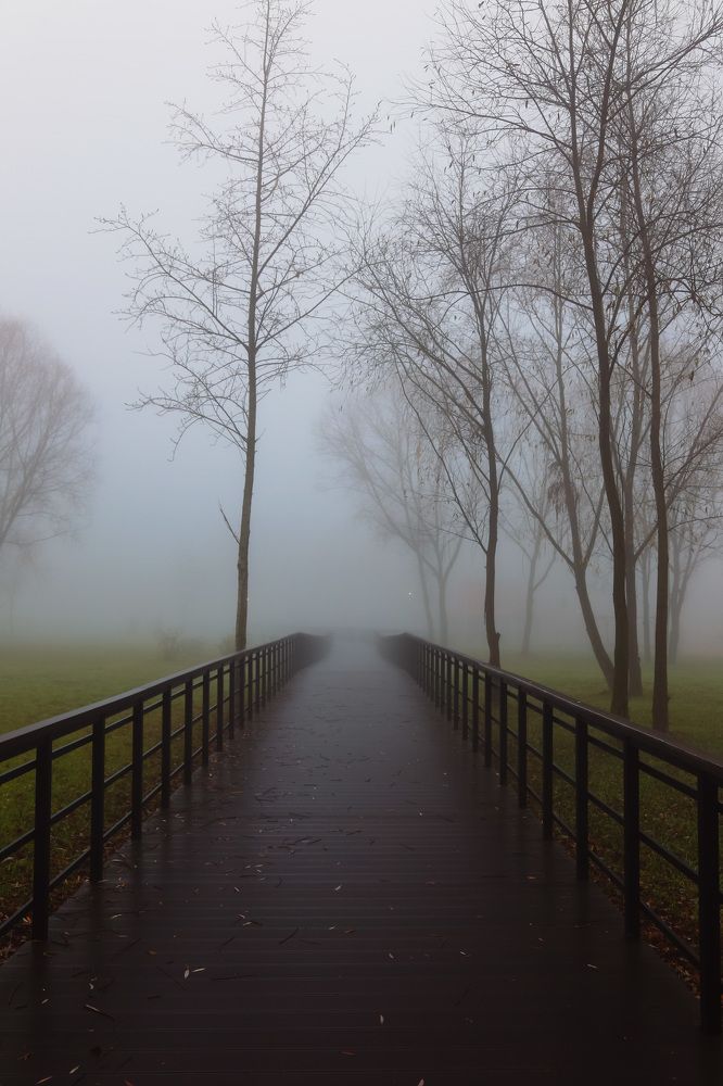 Фотография автора Елена Шилина