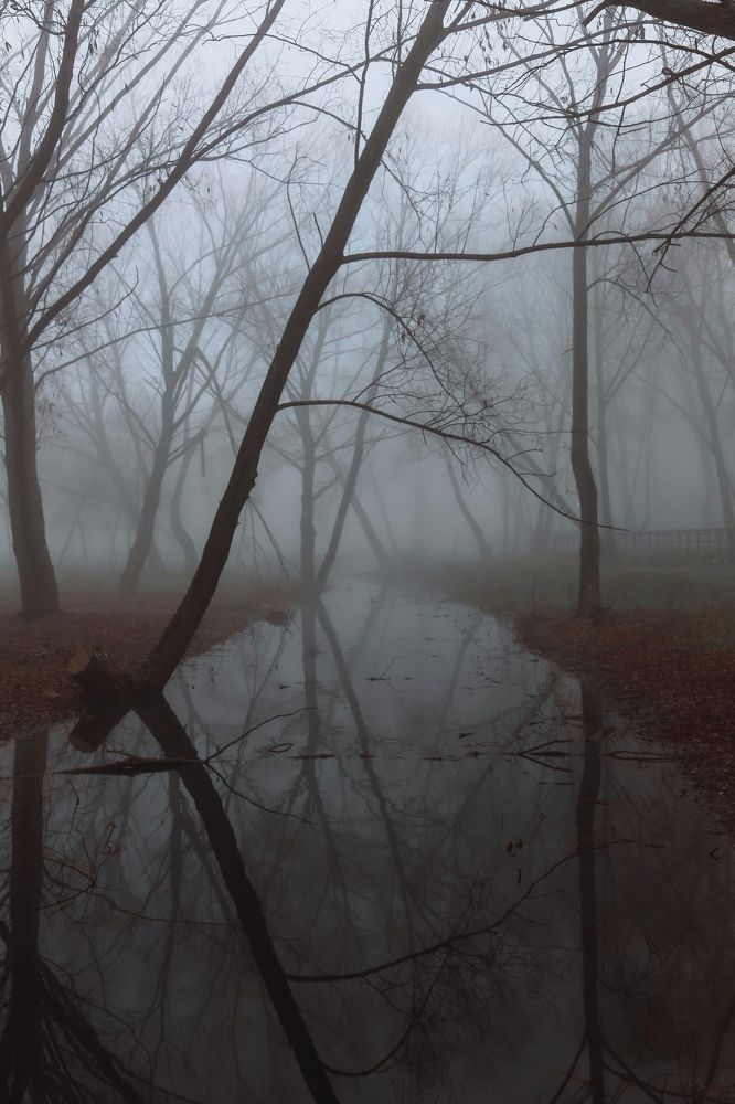 Фотография автора Елена Шилина