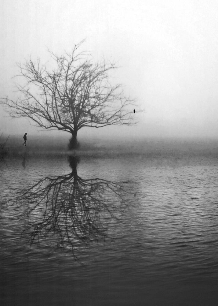 Фотография автора Mojtaba Gitinezhad