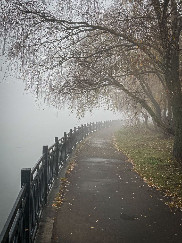 Московский ноябрь