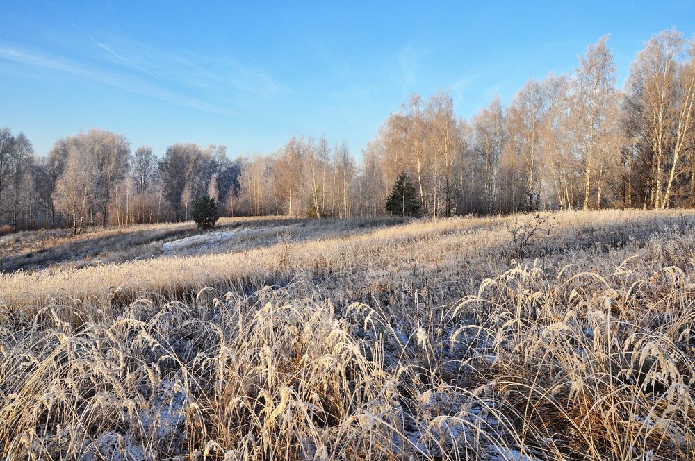 Photograph by Михаил Колосов