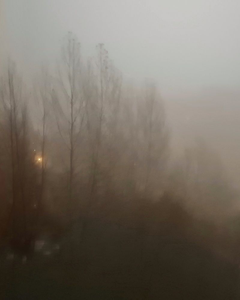 Photograph by Лариса Бурова