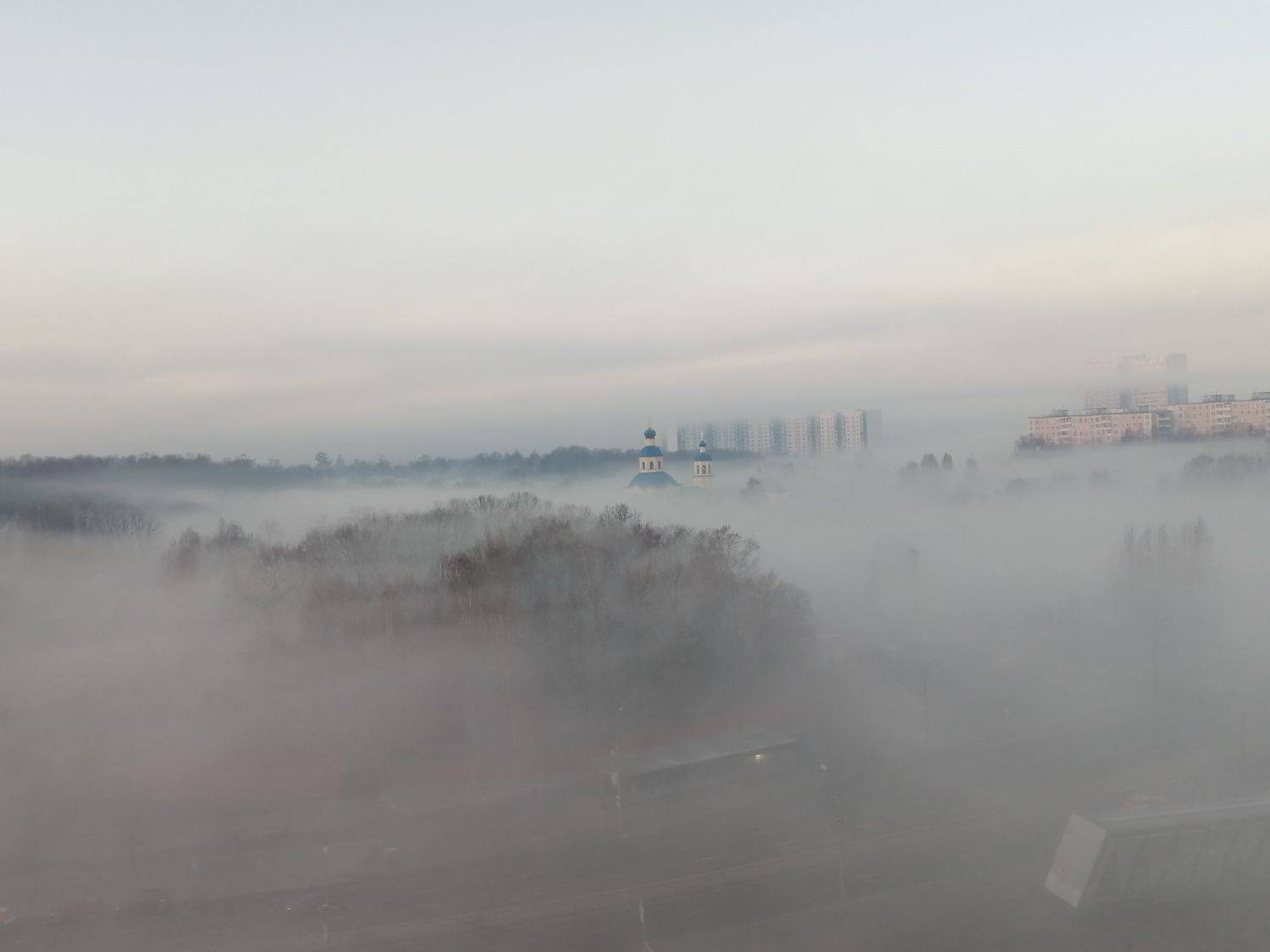 Photo #6679766