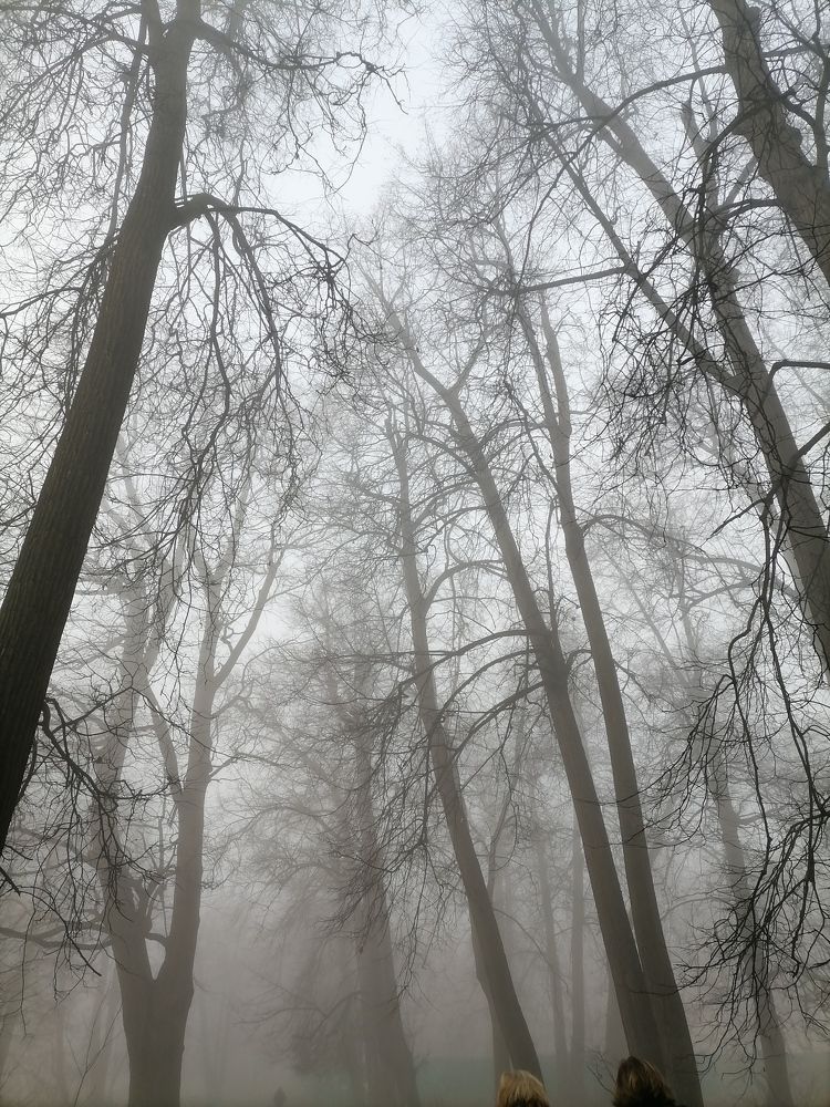 Photo #6679768