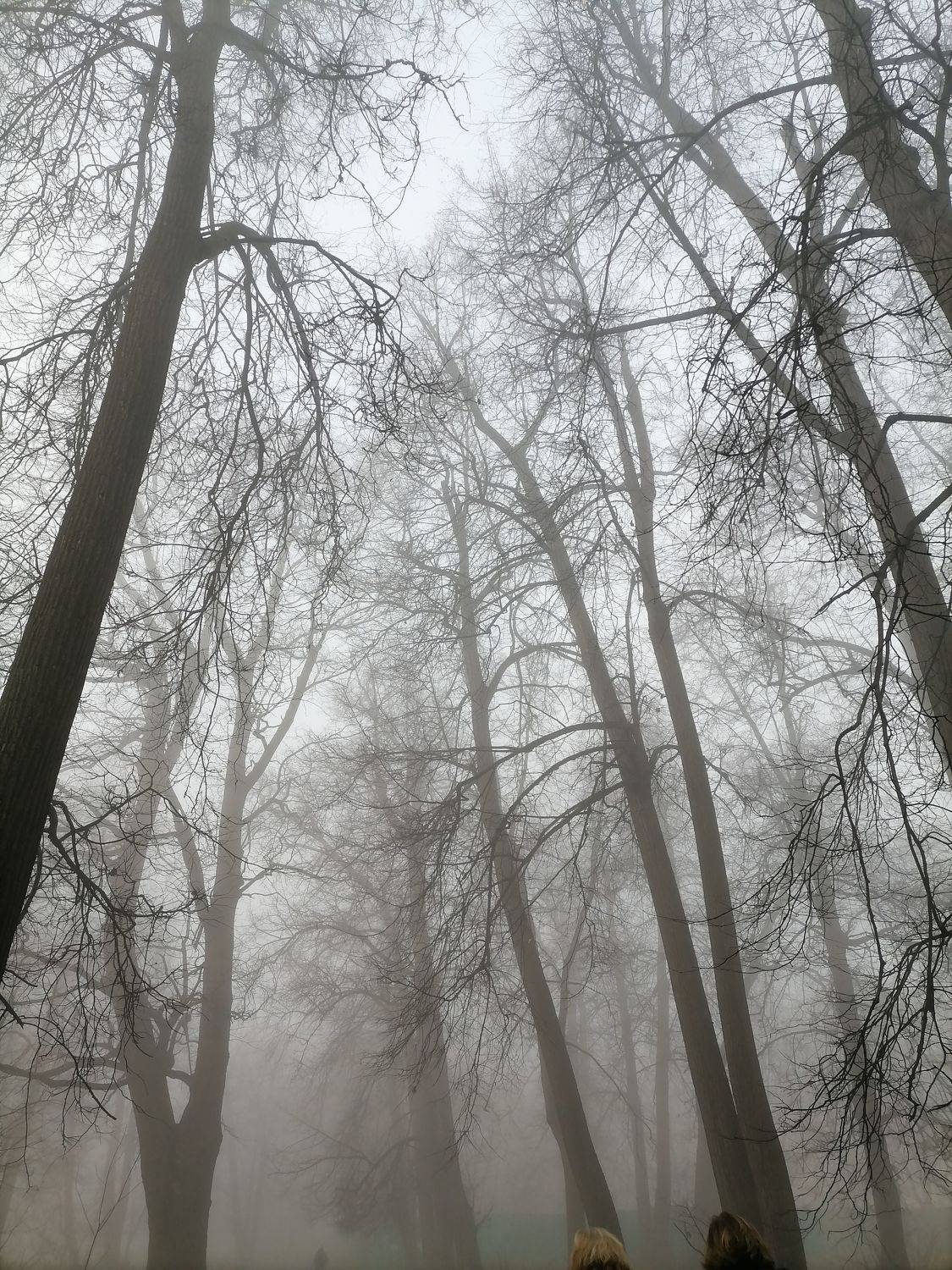 Photo #6679768