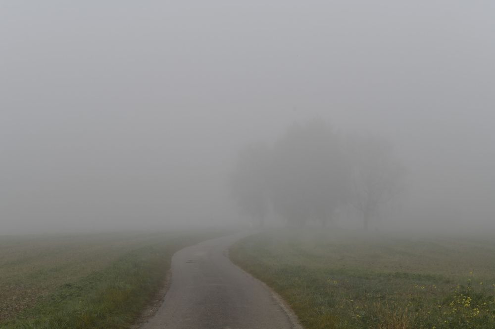 Photograph by Schewzow Lana