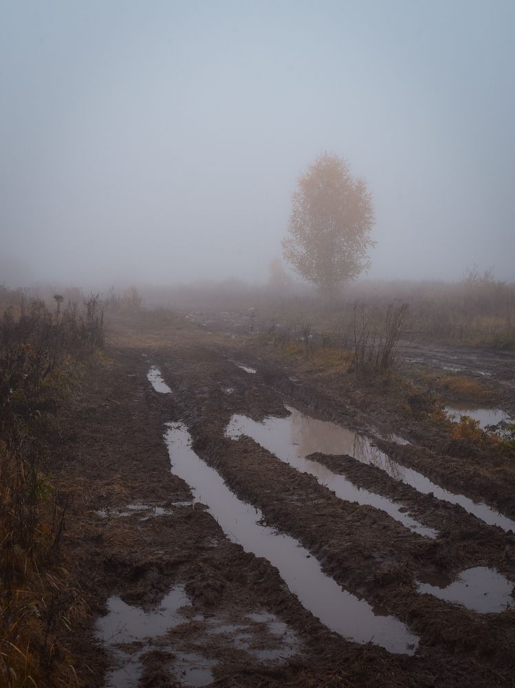 Photograph by Павел Ступак