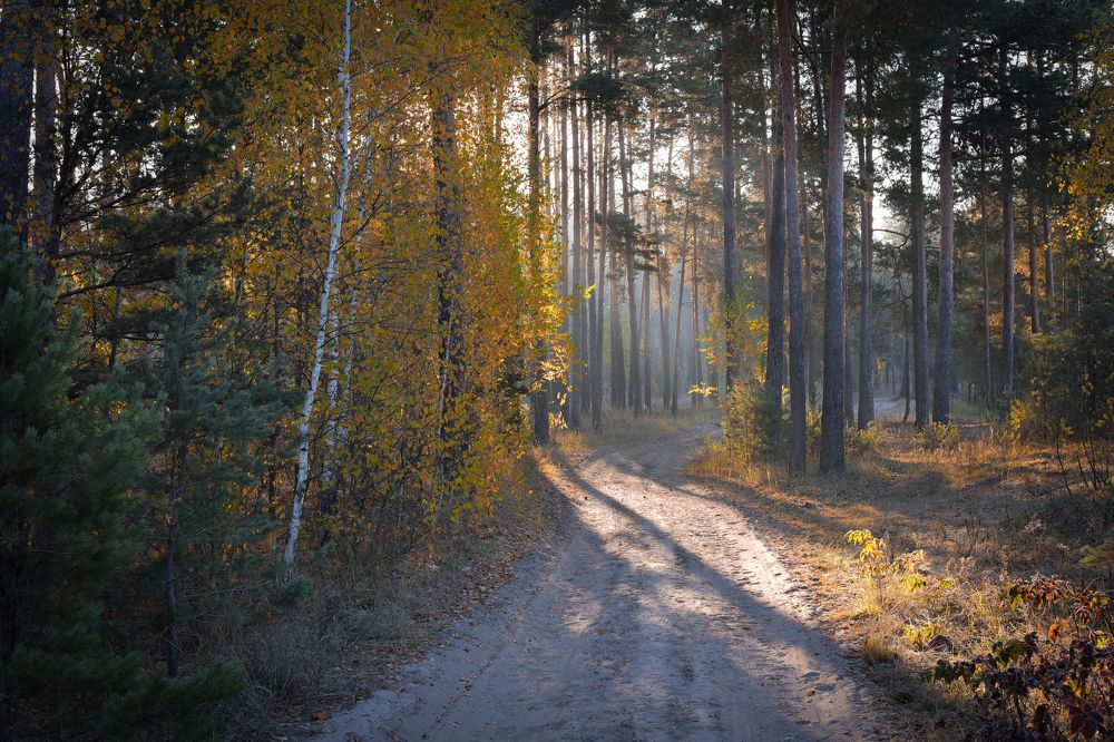 Photograph by Павел Ступак