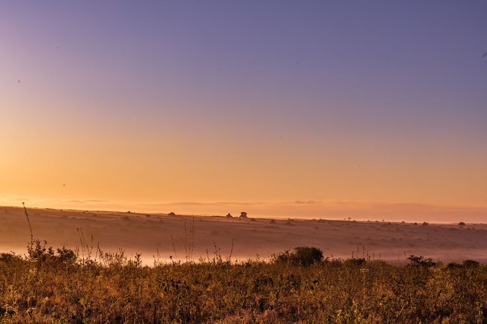 Photograph by Antony Trivet