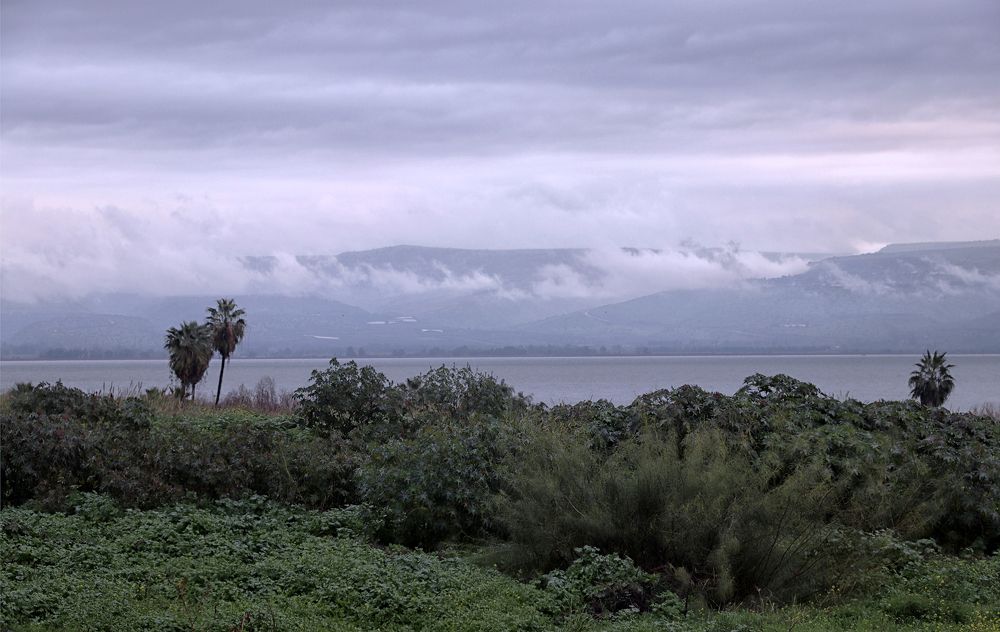 Photograph by Drora Baharal