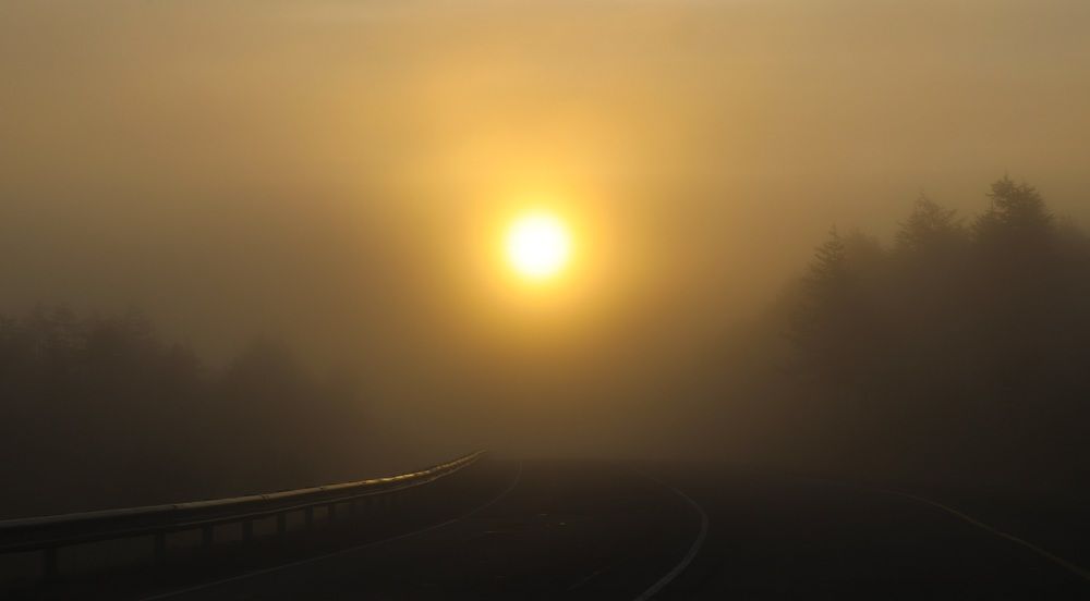 Туманное утро