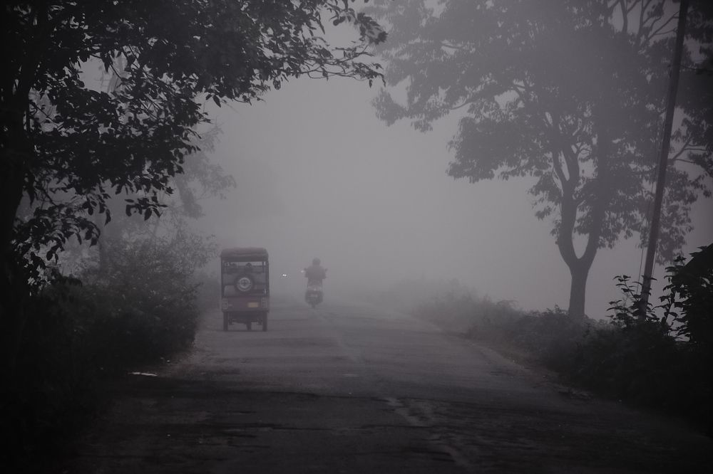 Photograph by Roy Mantu