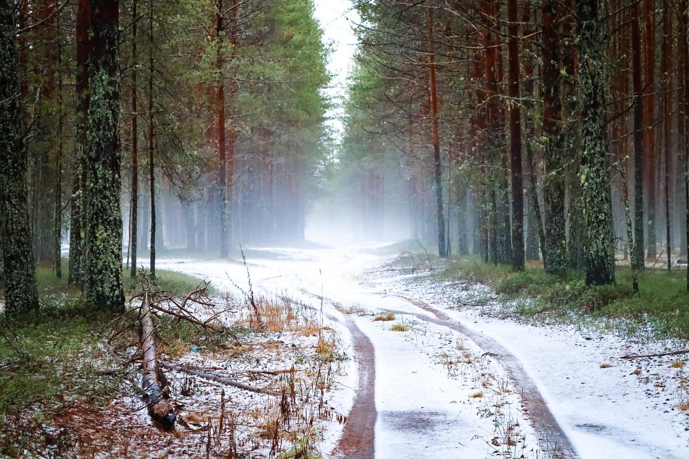 Photograph by Алёна Топорова