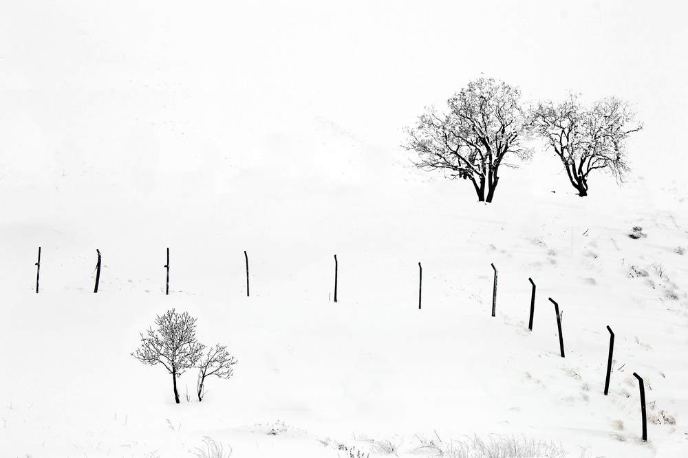 Фотография автора payman Mollaie