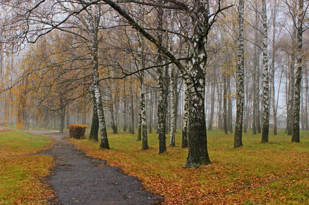 Осенний день.