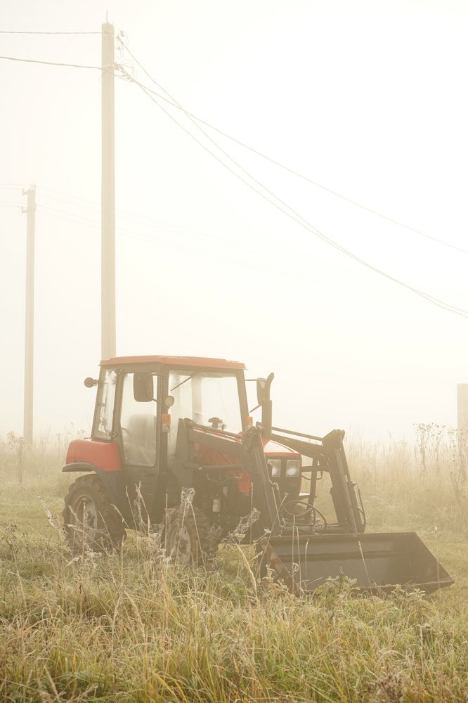 Photograph by Елизавета Фирстова