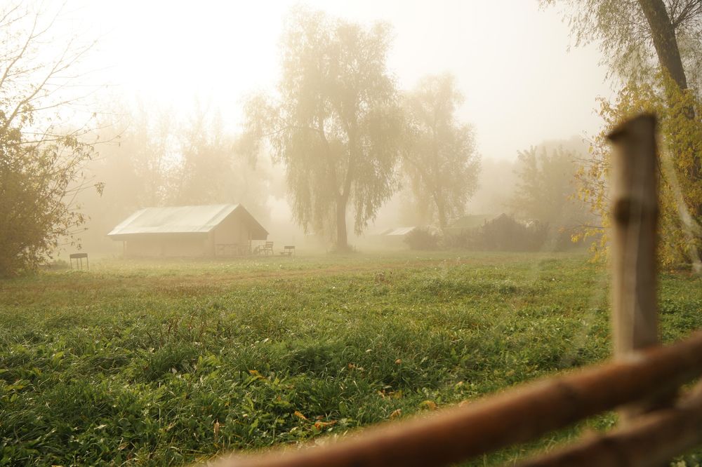 Photograph by Елизавета Фирстова