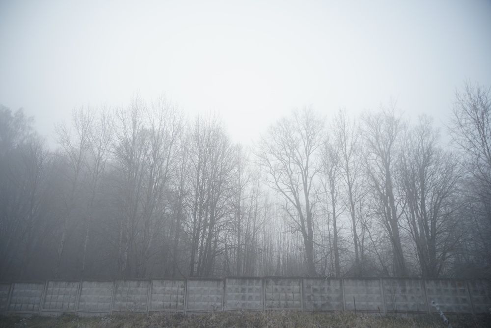 Photograph by Елизавета Фирстова