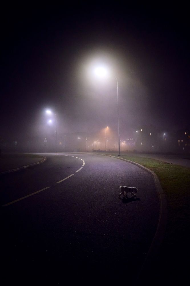 Photograph by Артур Газиев