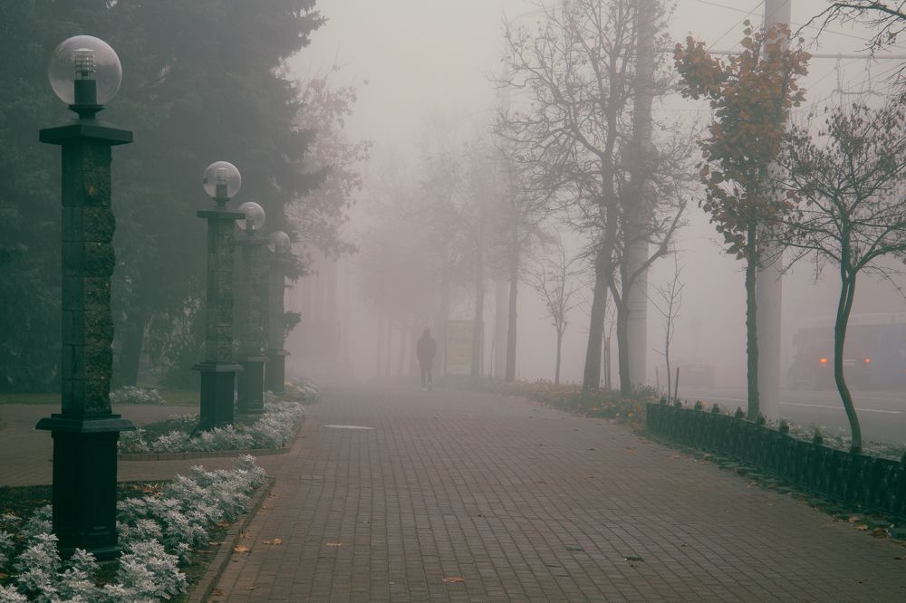 Photograph by Вячеслав Борисенко