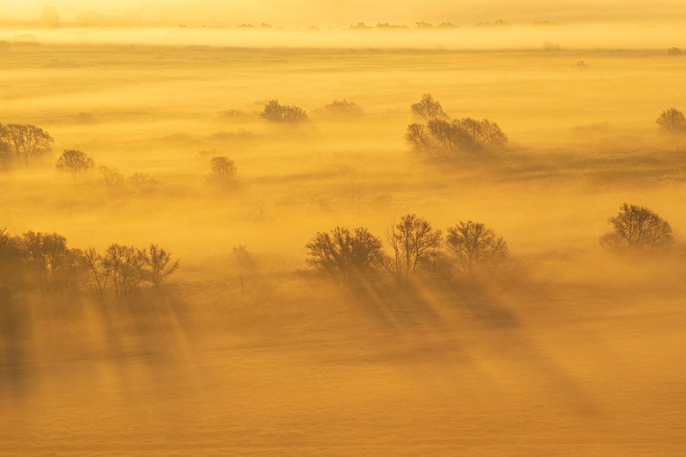 Фотография автора Евгений Подгорнов