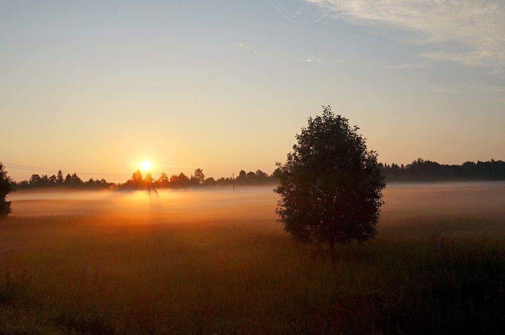 Утро Туманное