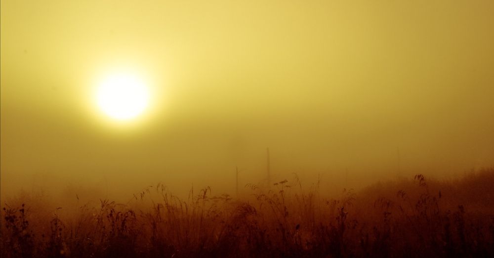Photograph by Александра Мазур