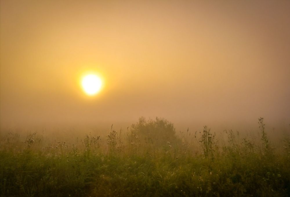 Photograph by Александра Мазур