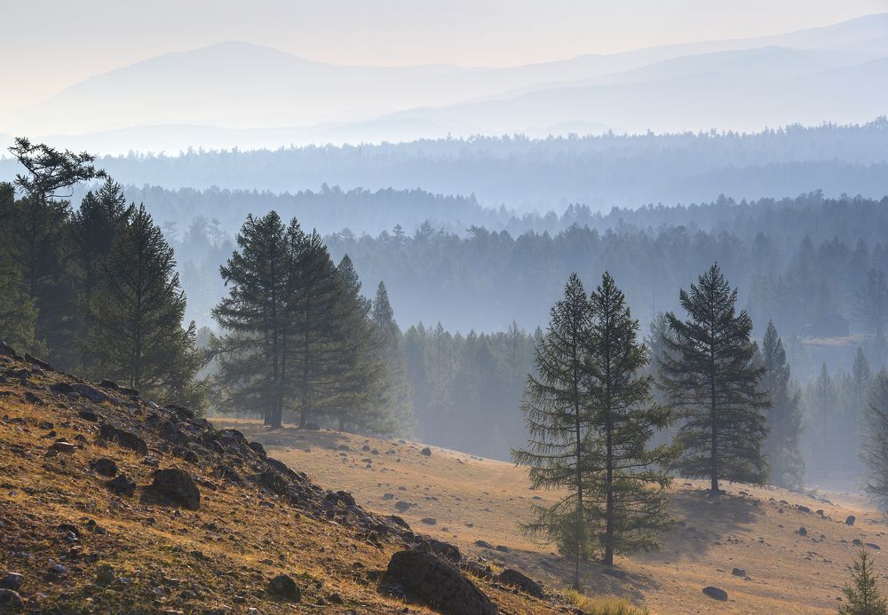 Photograph by Михаил Байбородин