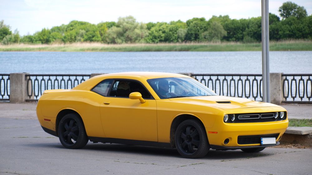 Photograph by Александр Петренко