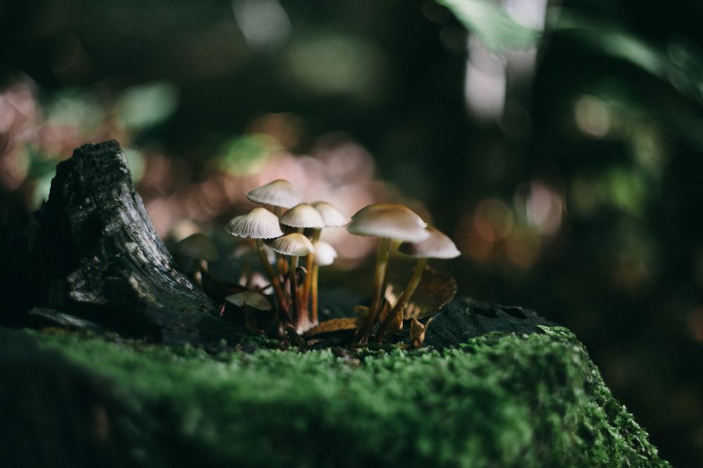 Photograph by Олег Абрамов