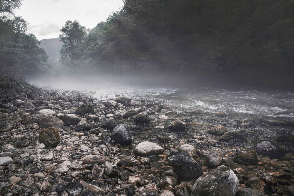 Photograph by Мария Буданова